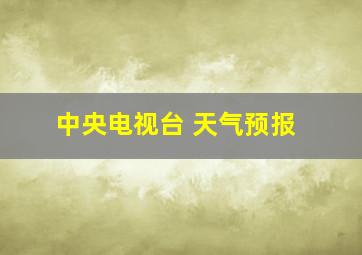 中央电视台 天气预报